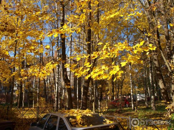 Город Гатчина (Россия, Ленинградская область) фото