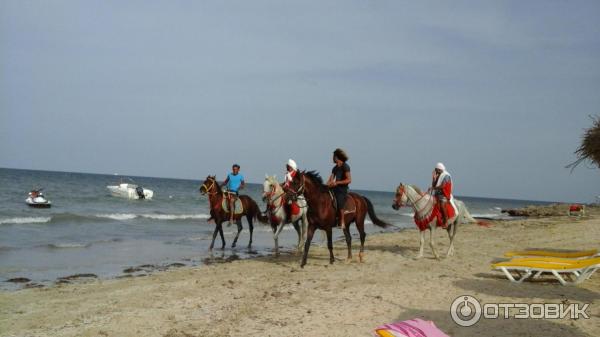 Отель Diana Beach Club 3* (Тунис, Зарзис) фото