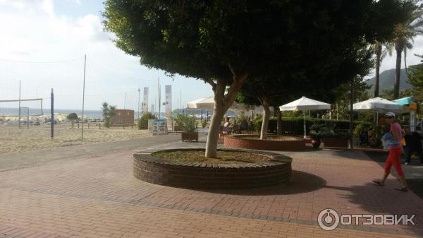 Отель Remi 4* (Турция, Алания) фото