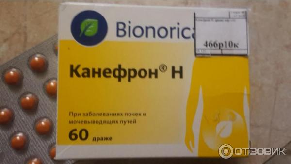Можно ли беременным пить канефрон