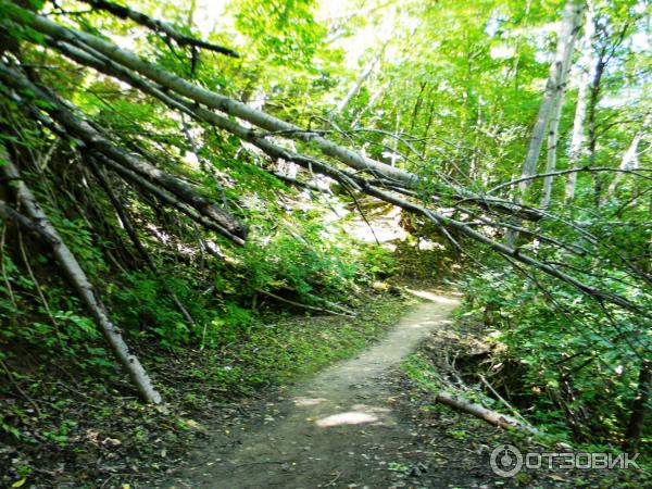 Туристическая тропа (Россия, Кисловодск) фото