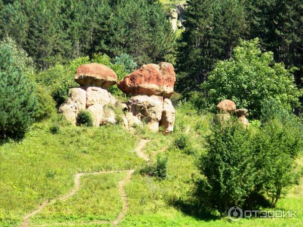 Туристическая тропа (Россия, Кисловодск) фото