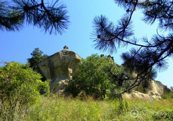 Туристическая тропа (Россия, Кисловодск) фото