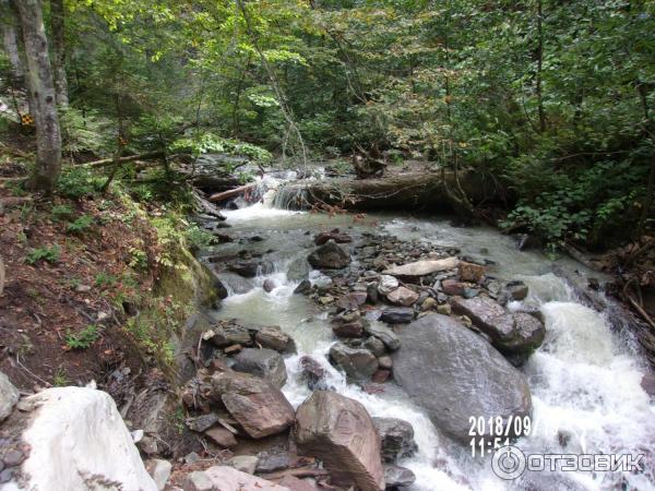 Парк водопадов Менделиха (Россия, Сочи) фото