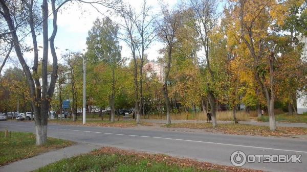 Город Чайковский (Россия, Пермский край) фото