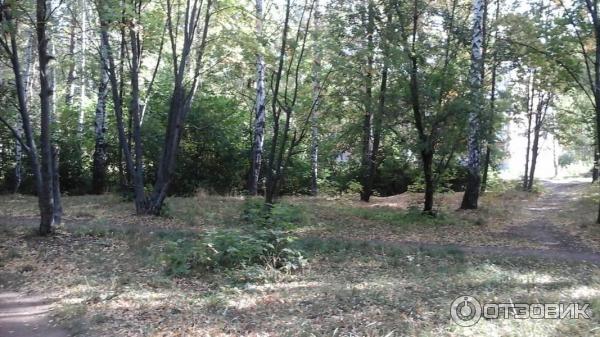 Город Чайковский (Россия, Пермский край) фото