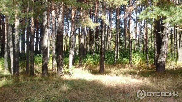 Город Чайковский (Россия, Пермский край) фото