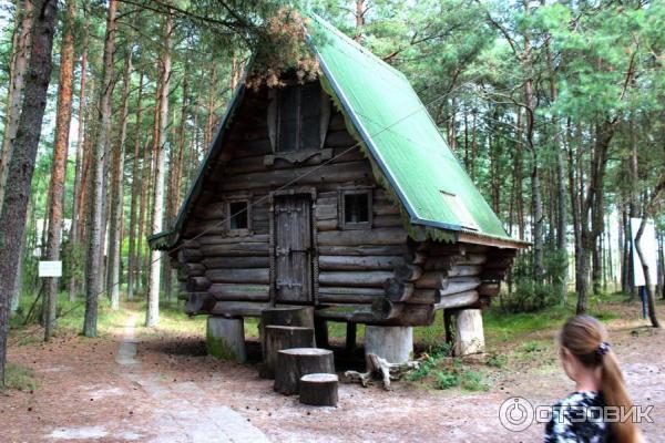 Отдых на Куршской косе (Россия, Калининградская область) фото