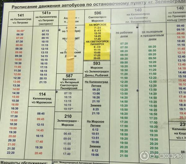 Автобус светлогорск балтийск расписание из светлогорска. Расписание автобусов Зеленоградск Куршская коса. Расписание автобусов Зеленоградск Лесное Куршская коса. Расписание автобусов Калининград. Автобус Калининград Куршская коса расписание автобусов.