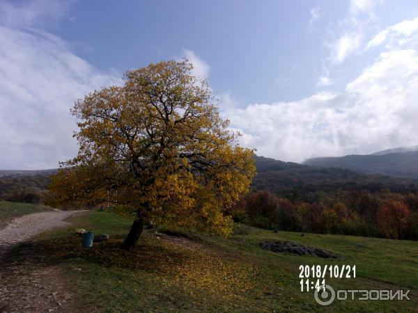 Экскурсия к водопаду Су-Учхан (Крым) фото