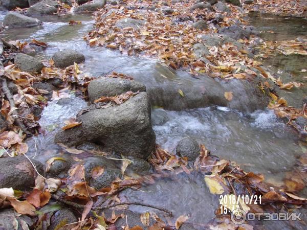 Экскурсия к водопаду Су-Учхан (Крым) фото