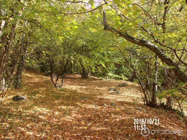 Экскурсия к водопаду Су-Учхан (Крым) фото