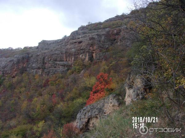 Экскурсия к водопаду Су-Учхан (Крым) фото