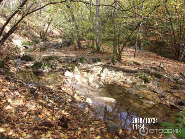 Экскурсия к водопаду Су-Учхан (Крым) фото