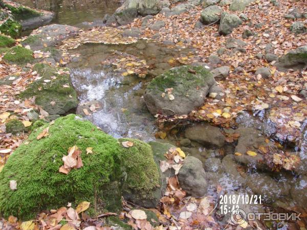 Экскурсия к водопаду Су-Учхан (Крым) фото