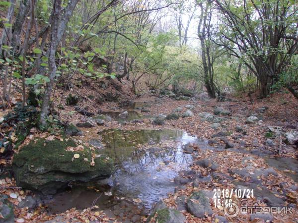 Экскурсия к водопаду Су-Учхан (Крым) фото