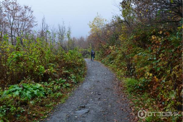 Отдых в Сочи осенью фото