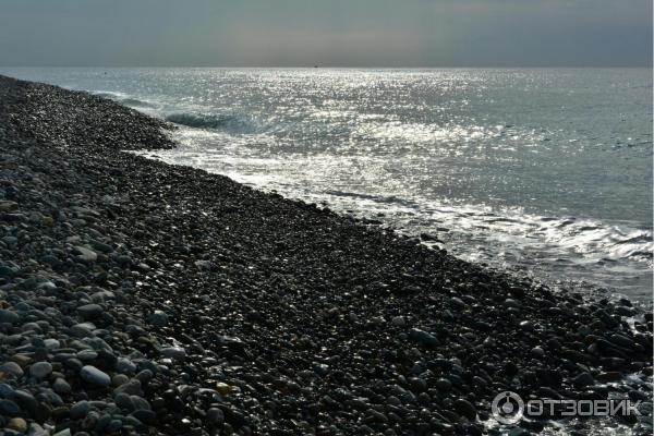 Отдых в Сочи осенью фото