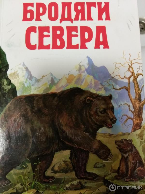 Чита Купить Книгу Кервуд Бродяги Севера