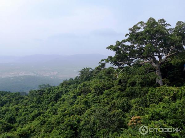 Парк Sanya Tropical Paradise (Китай, Санья) фото