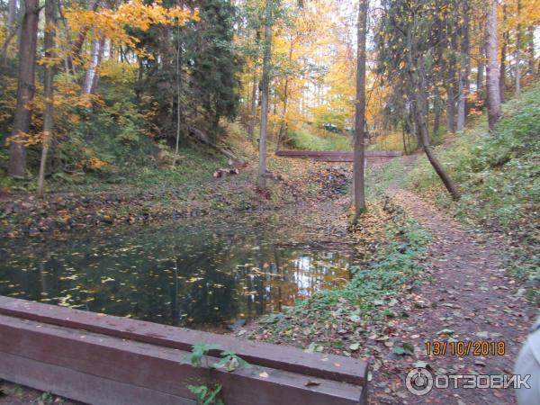 Экологическая тропа в Комарово Комаровский берег (Россия, Ленинградская область) фото