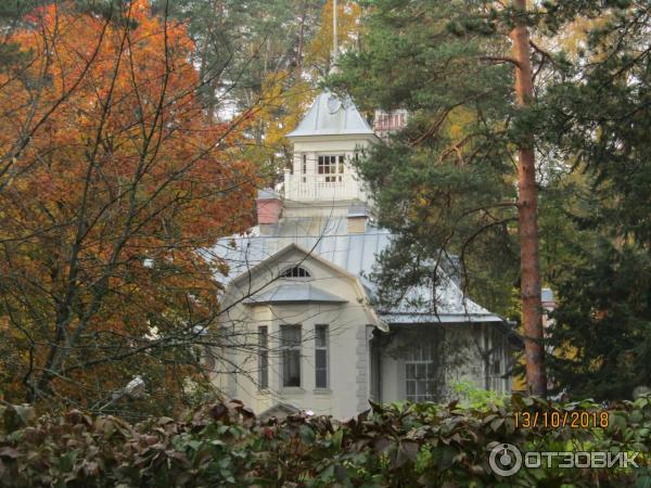 Экологическая тропа в Комарово Комаровский берег (Россия, Ленинградская область) фото