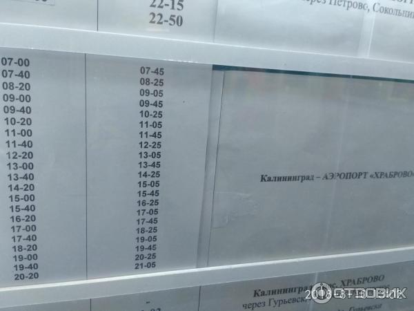 244э калининград храброво маршрут