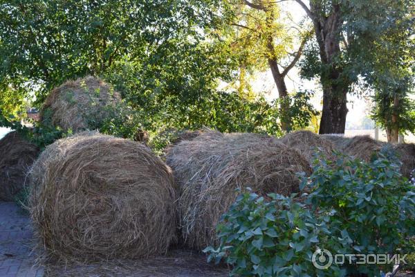 Экскурсия по станице Старочеркасская (Россия, Ростовская область) фото