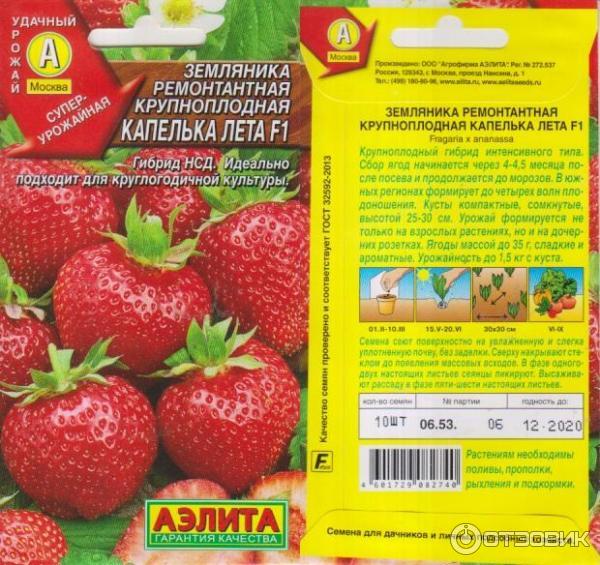 Клубника Надежда Описание Фото Отзывы