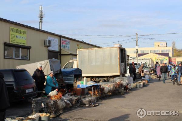 Волгоград Рынок Фото