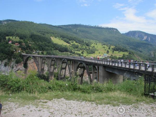 Экскурсия Каньоны (Черногория) фото