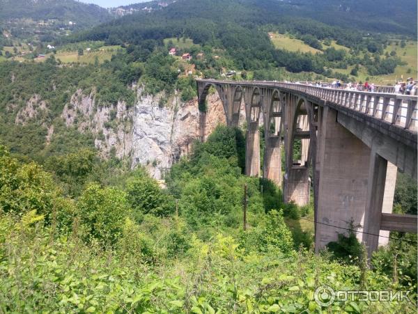 Экскурсия Каньоны (Черногория) фото