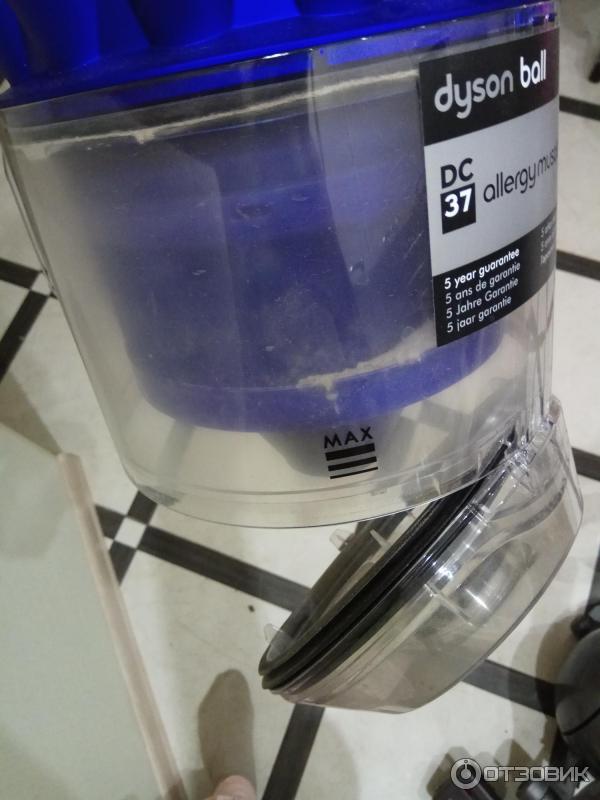 Пылесос Dyson DC37 Allergy Muschd PQ фото