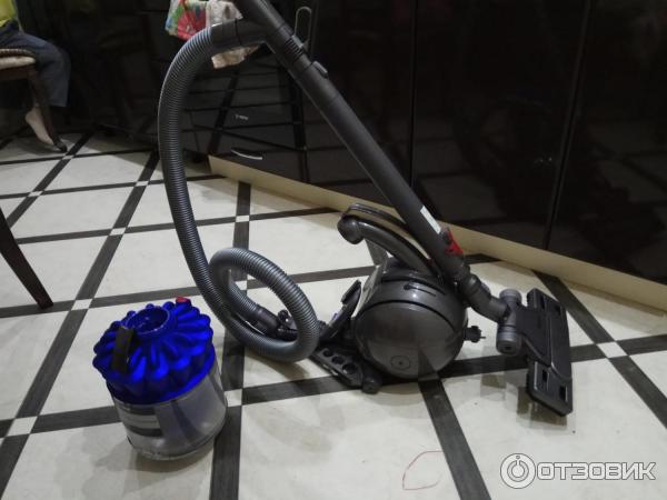 Пылесос Dyson DC37 Allergy Muschd PQ фото