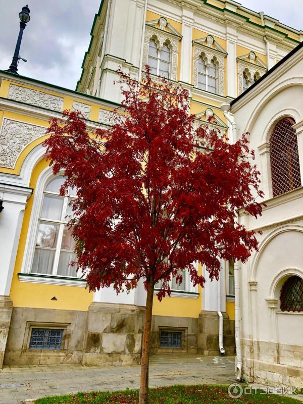 Экскурсия Музеи Московского Кремля (Россия, Москва) фото