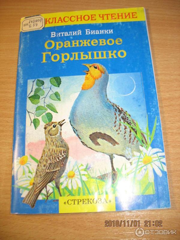 Содержание для читательского дневника оранжевое горлышко