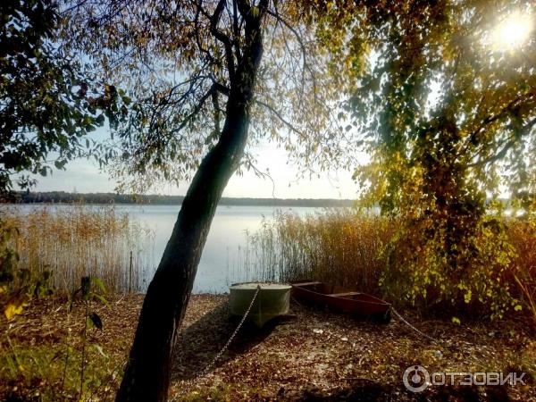 Территория