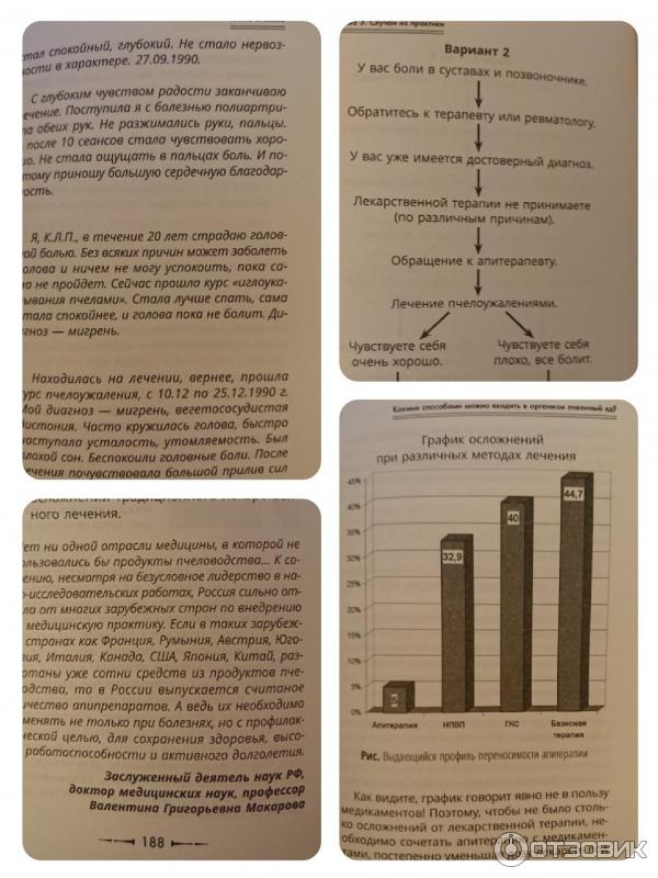 Книга Пиявка и пчела лечат суставы. Метод лечения, который действительно помогает. Советы практикующего врача - И. В. Власова фото