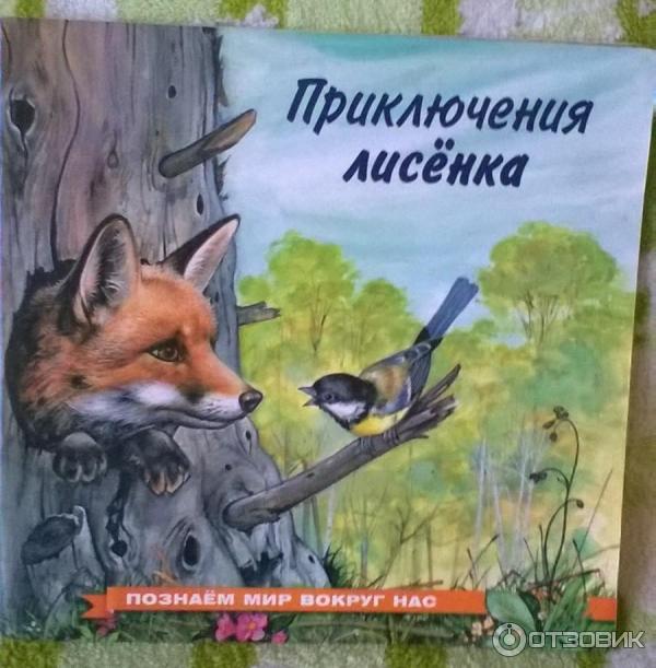 Книга Приключения лисенка. Познаем мир вокруг нас - И. Гурина фото