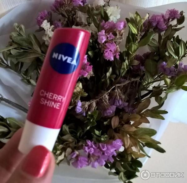 Помада нивея ежевика. Нивея бальзам blackberry shine. Ежевичная нивея. Nivea blackberry lip care. Ежевичная нивея.