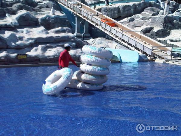 Аквапарк IceLand Water Park (ОАЭ, Рас-эль-Хайма) фото