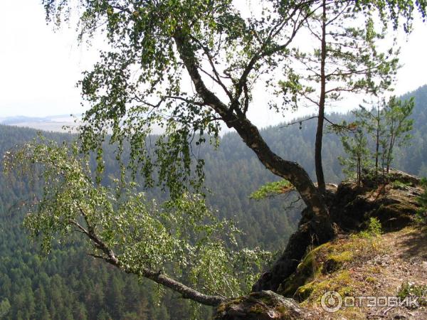 Сплав по реке Белая (Россия, Башкортостан) фото