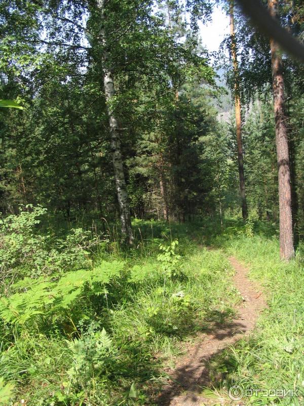 Сплав по реке Белая (Россия, Башкортостан) фото