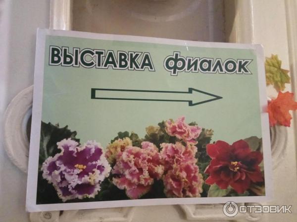 Какие ярмарки, выставки-продажи пройдут в Санкт-Петербурге в сентябре