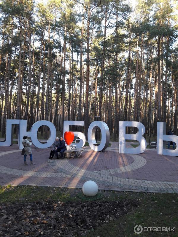 Парк елочки домодедово отзывы. Парк ёлочки в Домодедово. Парки Домодедово. Парк елочки Домодедово осенью. Парк ёлочки в Домодедово фото.