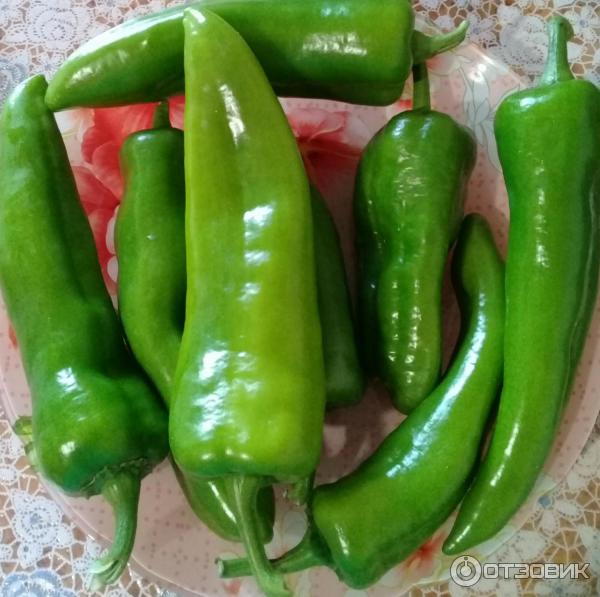 Небольшая часть урожая