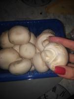 Шампиньоны свежие Сельская ярмарка фото