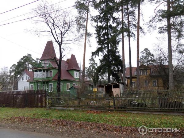 Фото Домов В Лисьем Носу