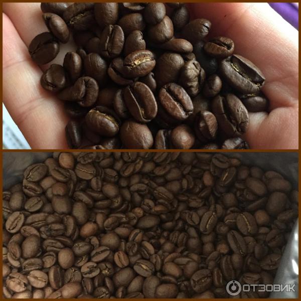 Кофе в зернах Paulig Arabica Dark фото