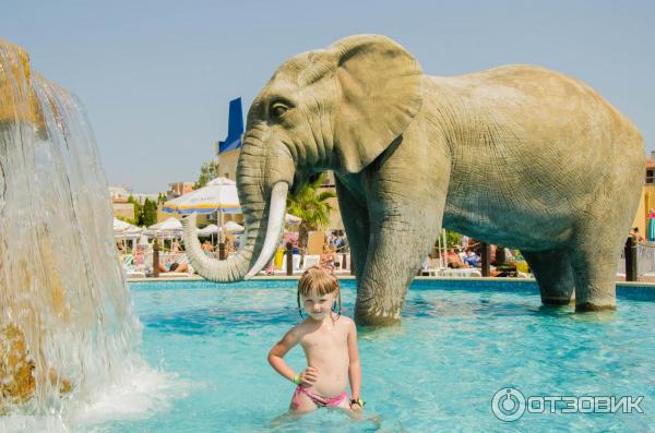 Аквапарк Action Aquapark (Болгария, Солнечный Берег) фото